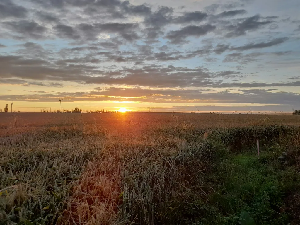 Individuell und gemütlich