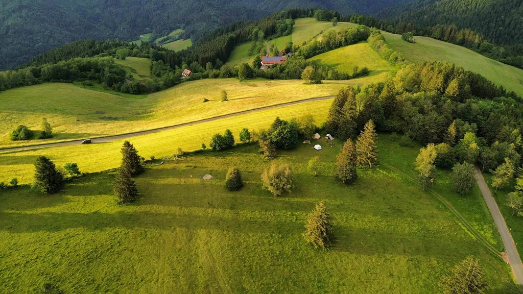 Beim Baum der Träume (Schwarzwald)
