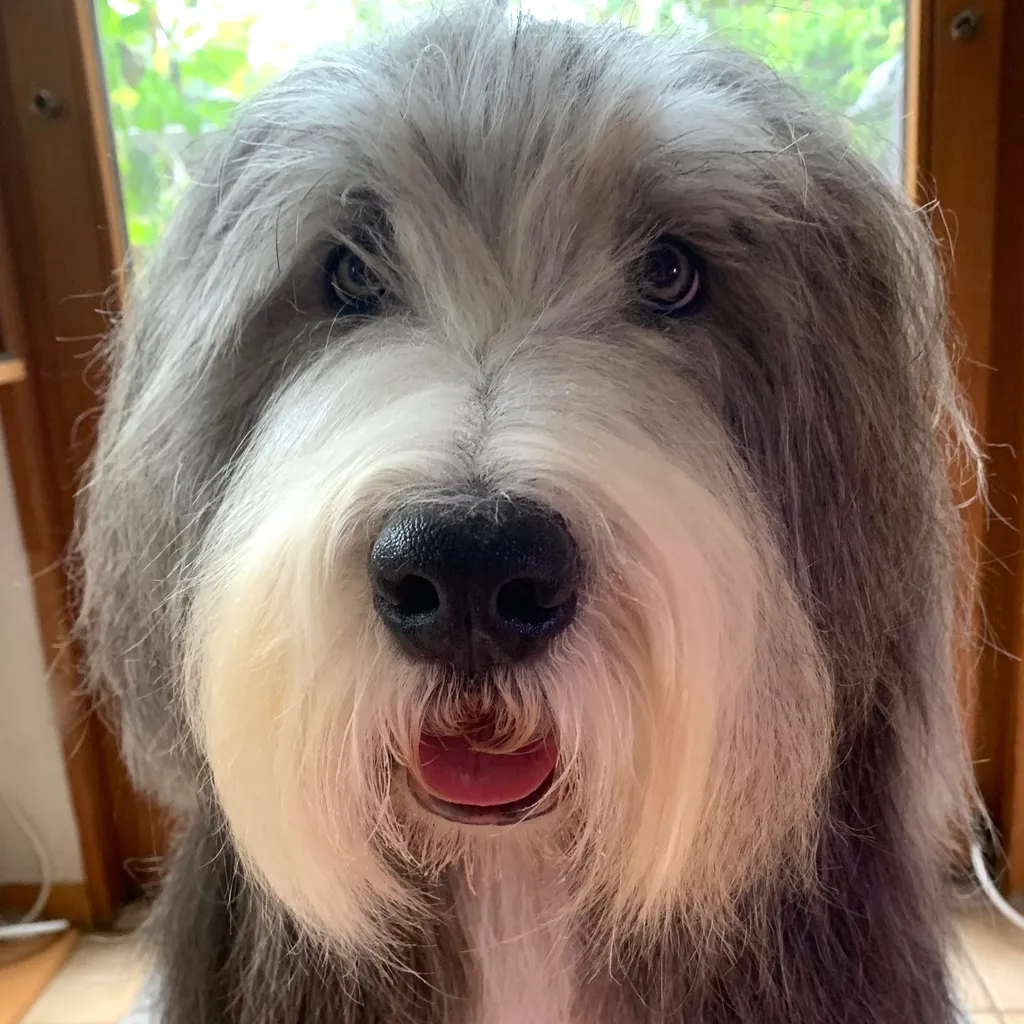 Profilbild von Marina und Lutz