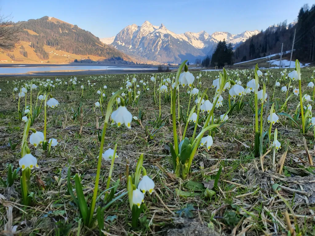 Camp Ahornweid beim Sihlsee