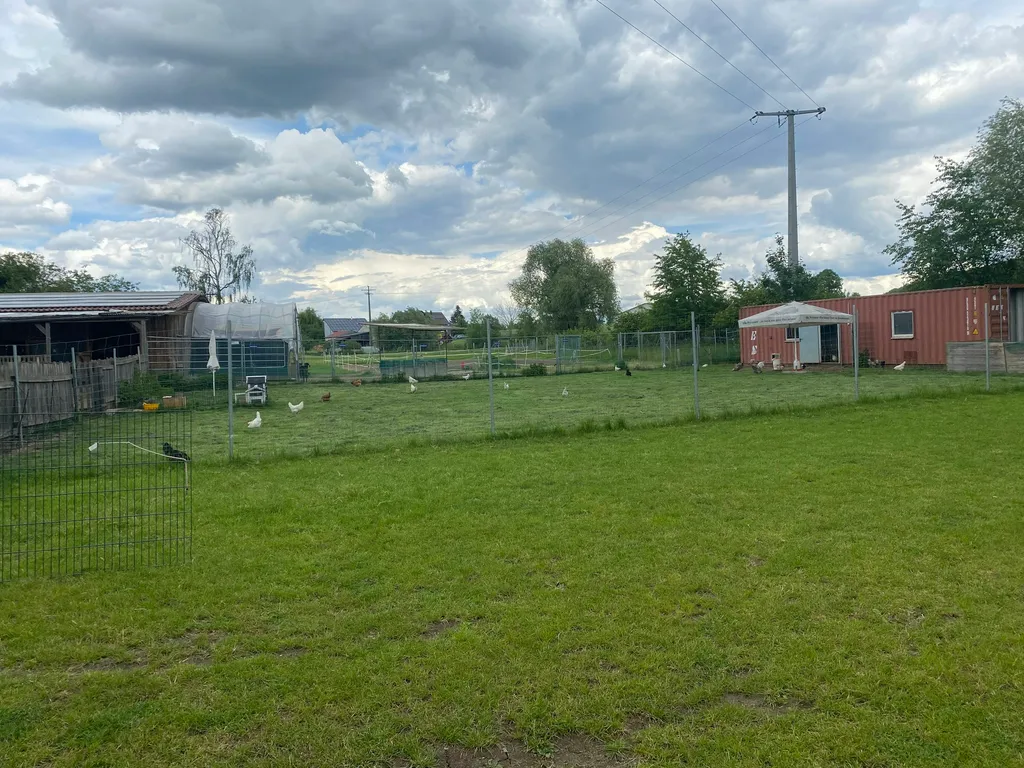 Camp auf der Straussenfarm/Lebenshof
