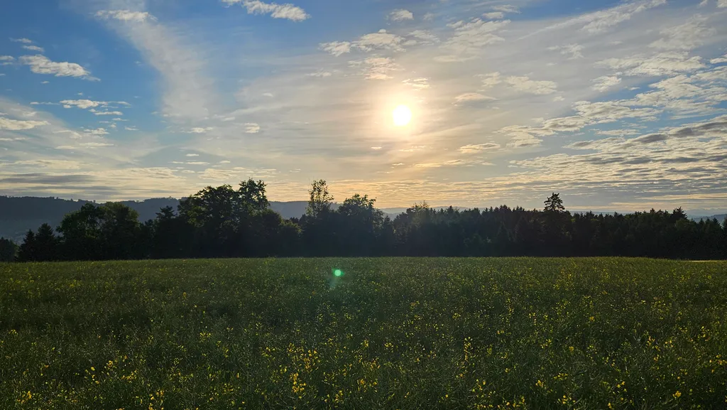 Bild von Heidi für den Spot 539