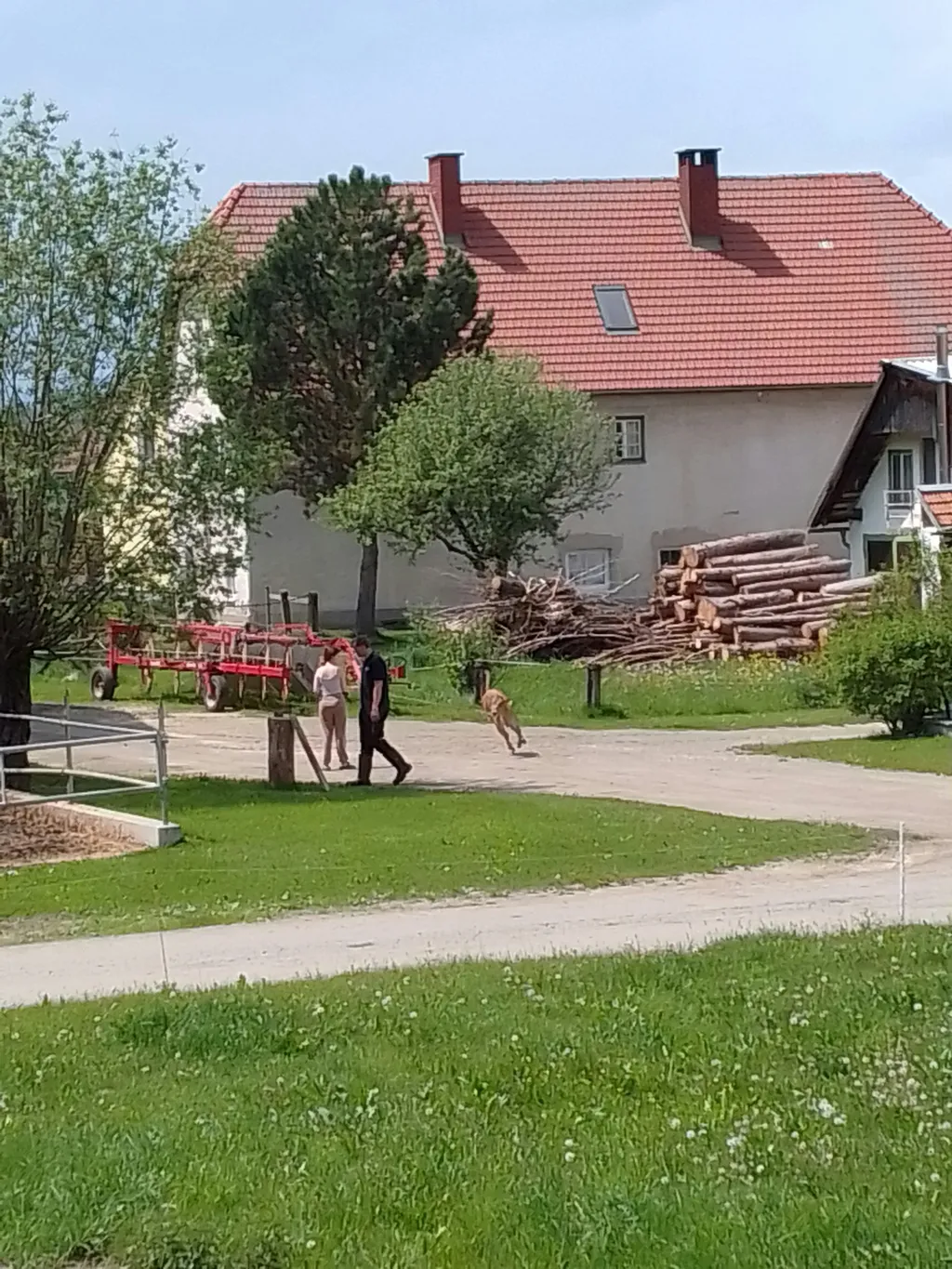 Ruhiger Obstgarten und Bauernhof