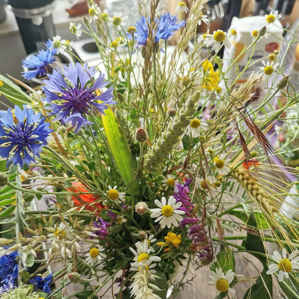 Profilbild von Stefanie