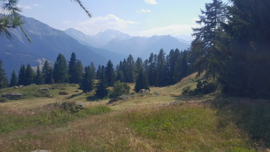 In der Nähe des Hochmoors auf der Riederalp