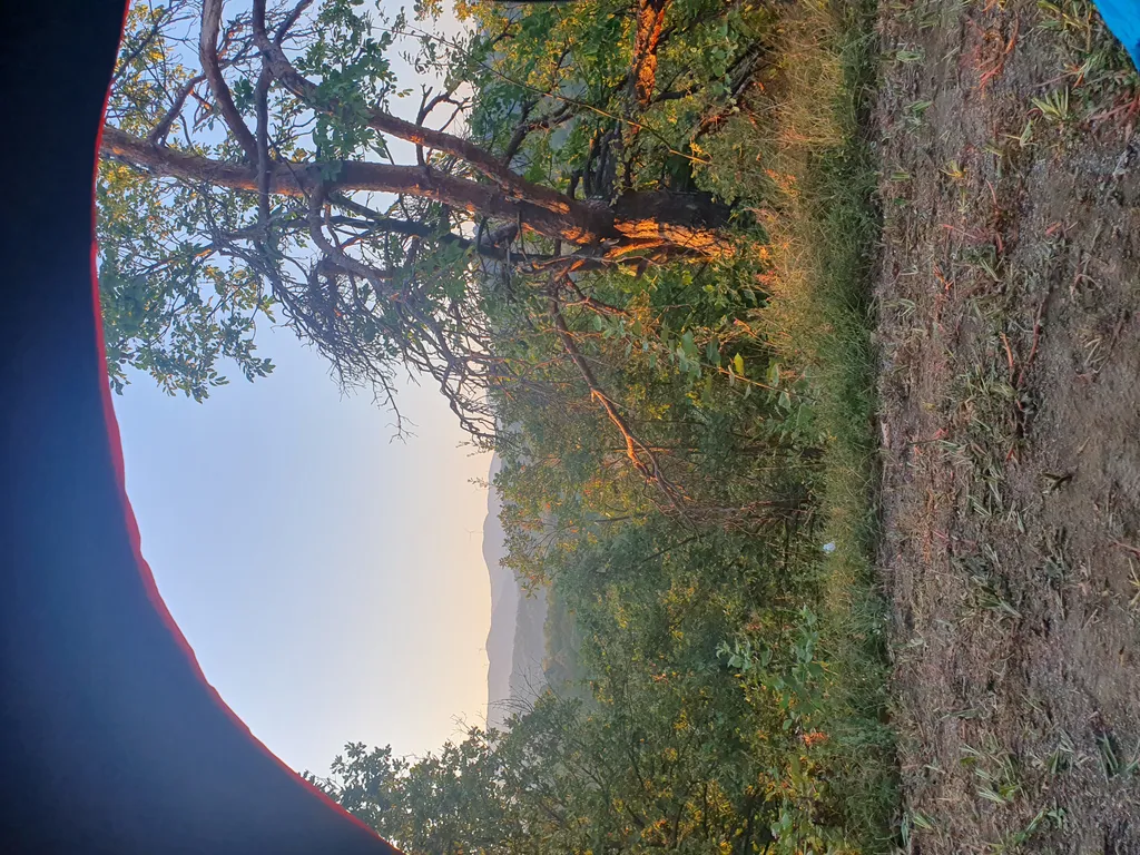 Bild von Franzi für den Spot 2305