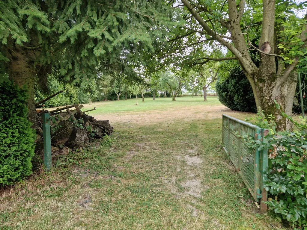 Obstwiese mit Hühnern