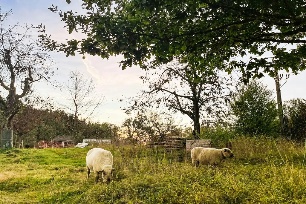 Zum Brennerwirt Idylle u. Kulinarik