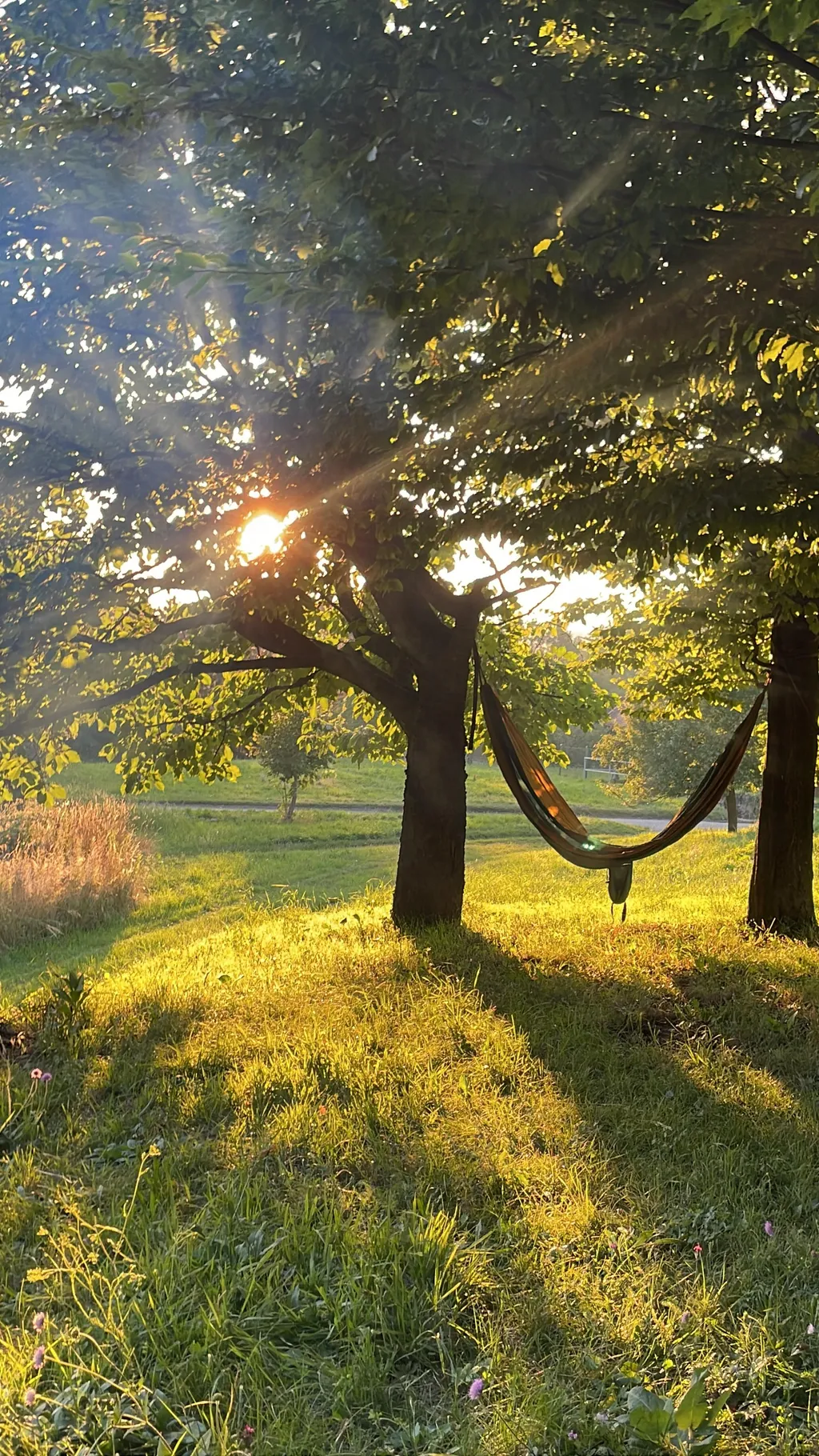 Bild von Darius für den Spot 1474