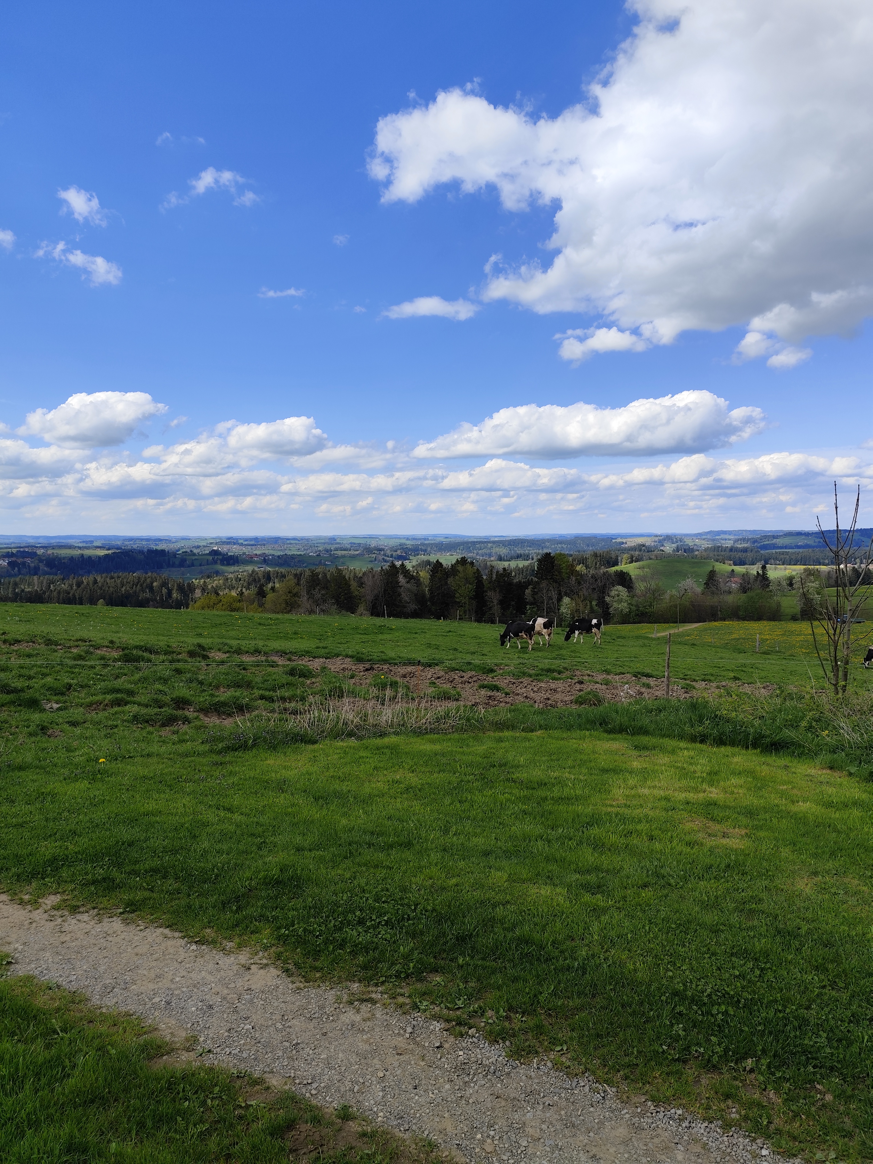 Ruhe, Natur und toller Ausblick — photo 3