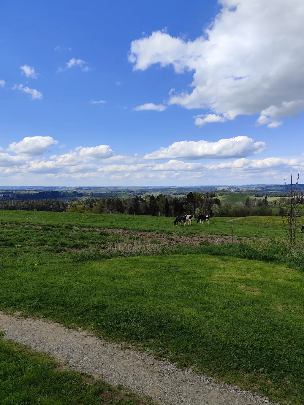 Ruhe, Natur und toller Ausblick