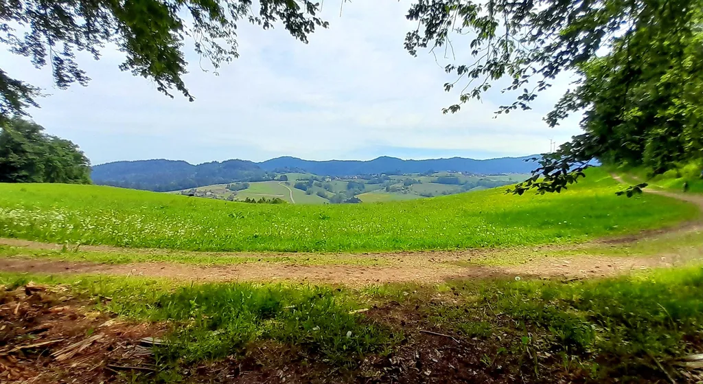 Natur poor/ Horben Blick, Platz bei Elli u Thomas