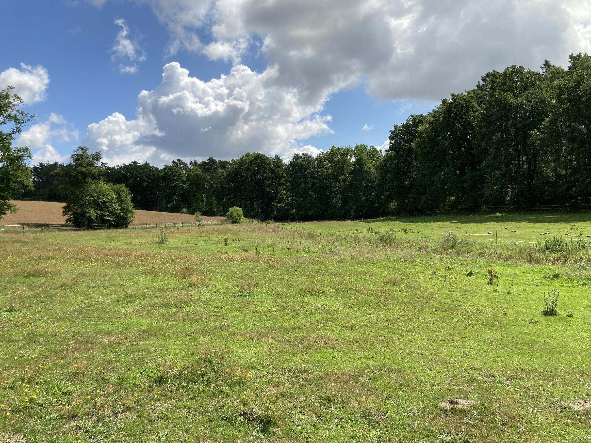 Erholung im Pferdeland