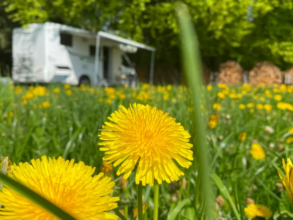 Obstanger, Sunset Place, Walser