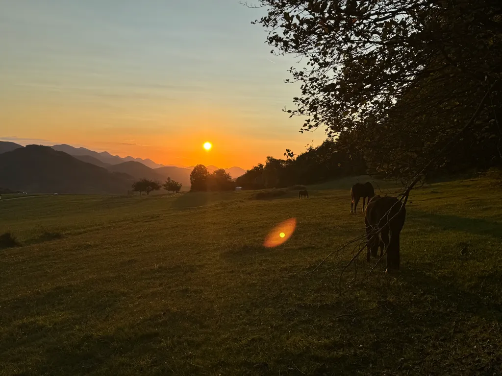 Wisenberg: Weitblick und Erdnähe