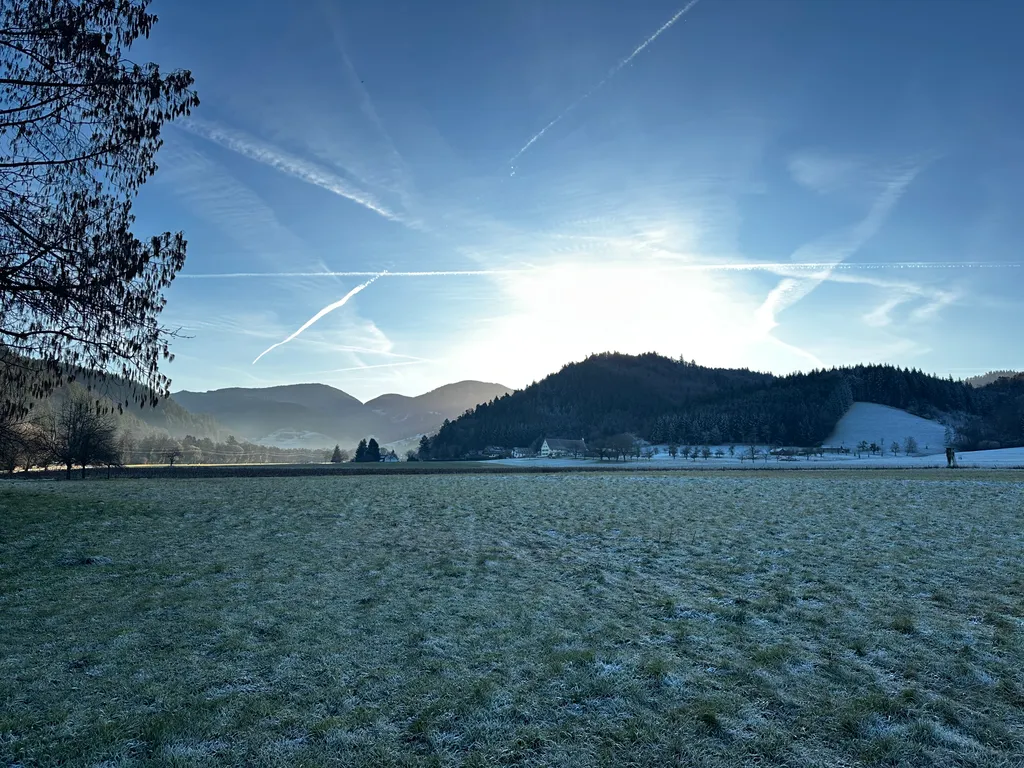 Image d’inspiration de Belchenblickwiese Naturcamping