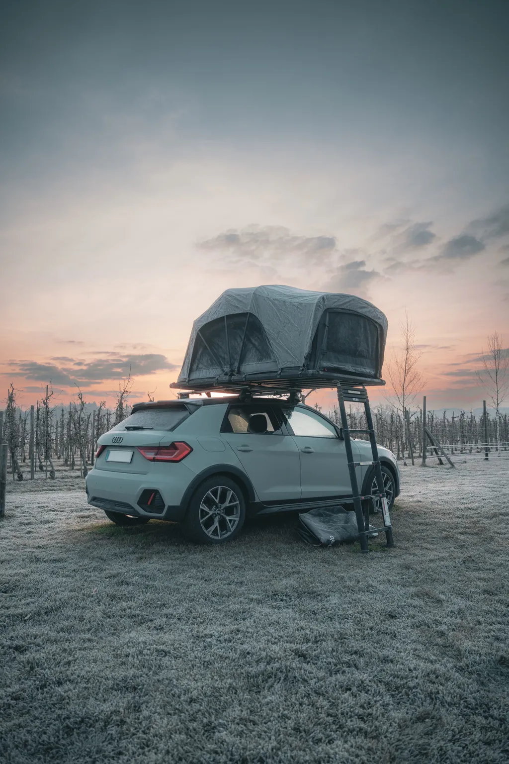 Image by Finn for spot 1510