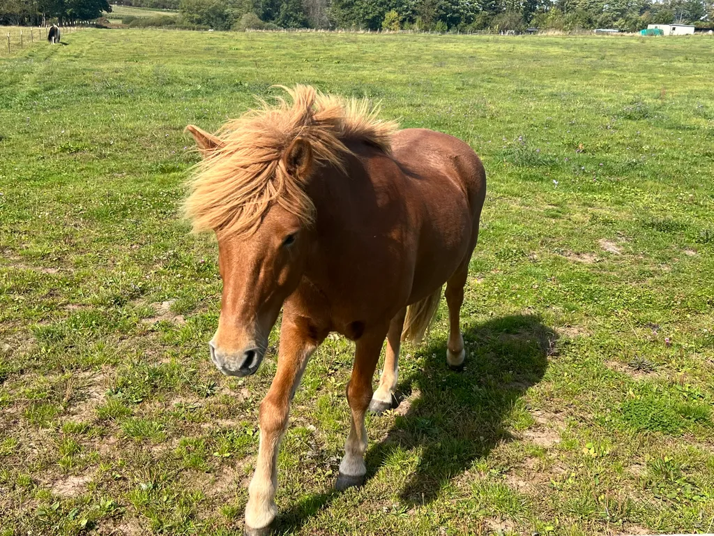 Bild von Dorit für den Spot 4078