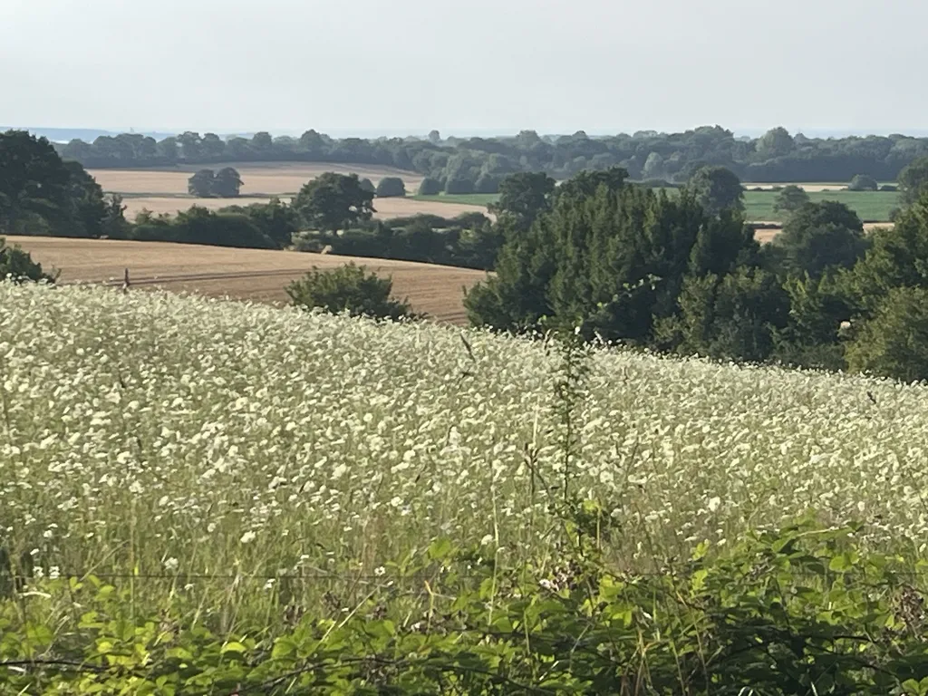 Blick auf die Hohwachter Bucht