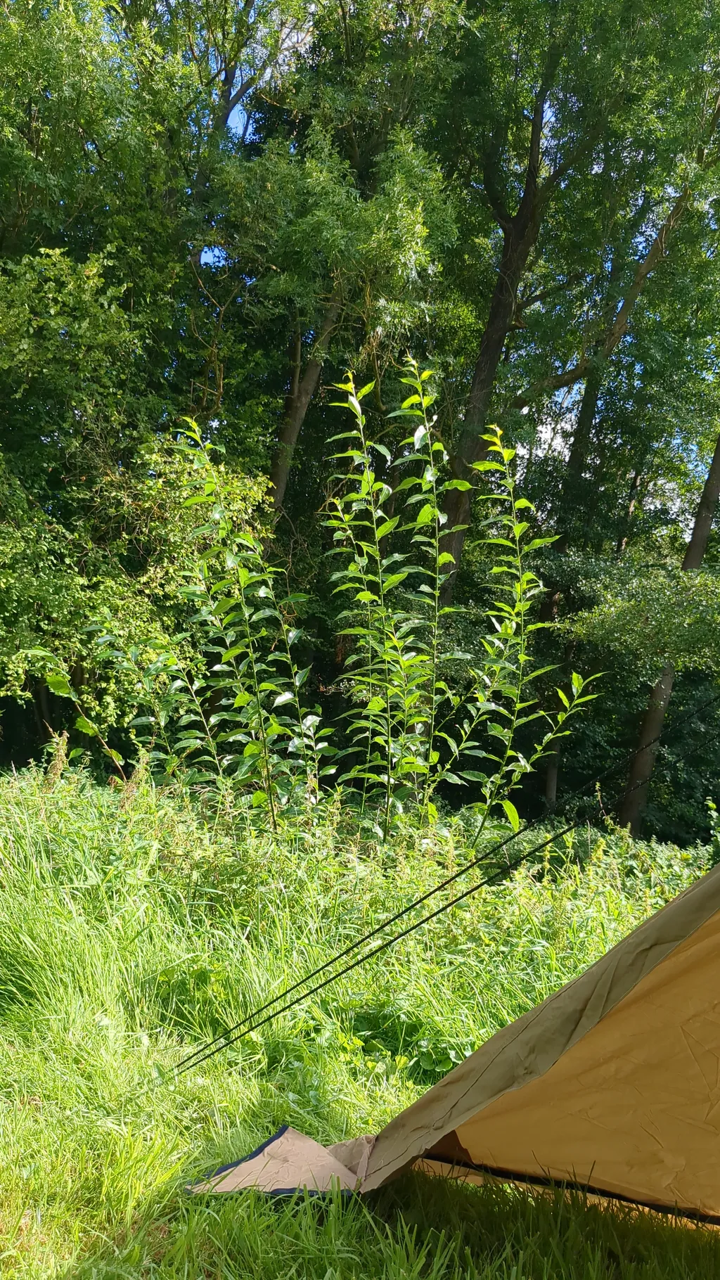 Bild von Glenn für den Spot 2262