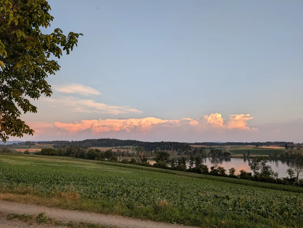 Bild von Carlos für den Spot 999