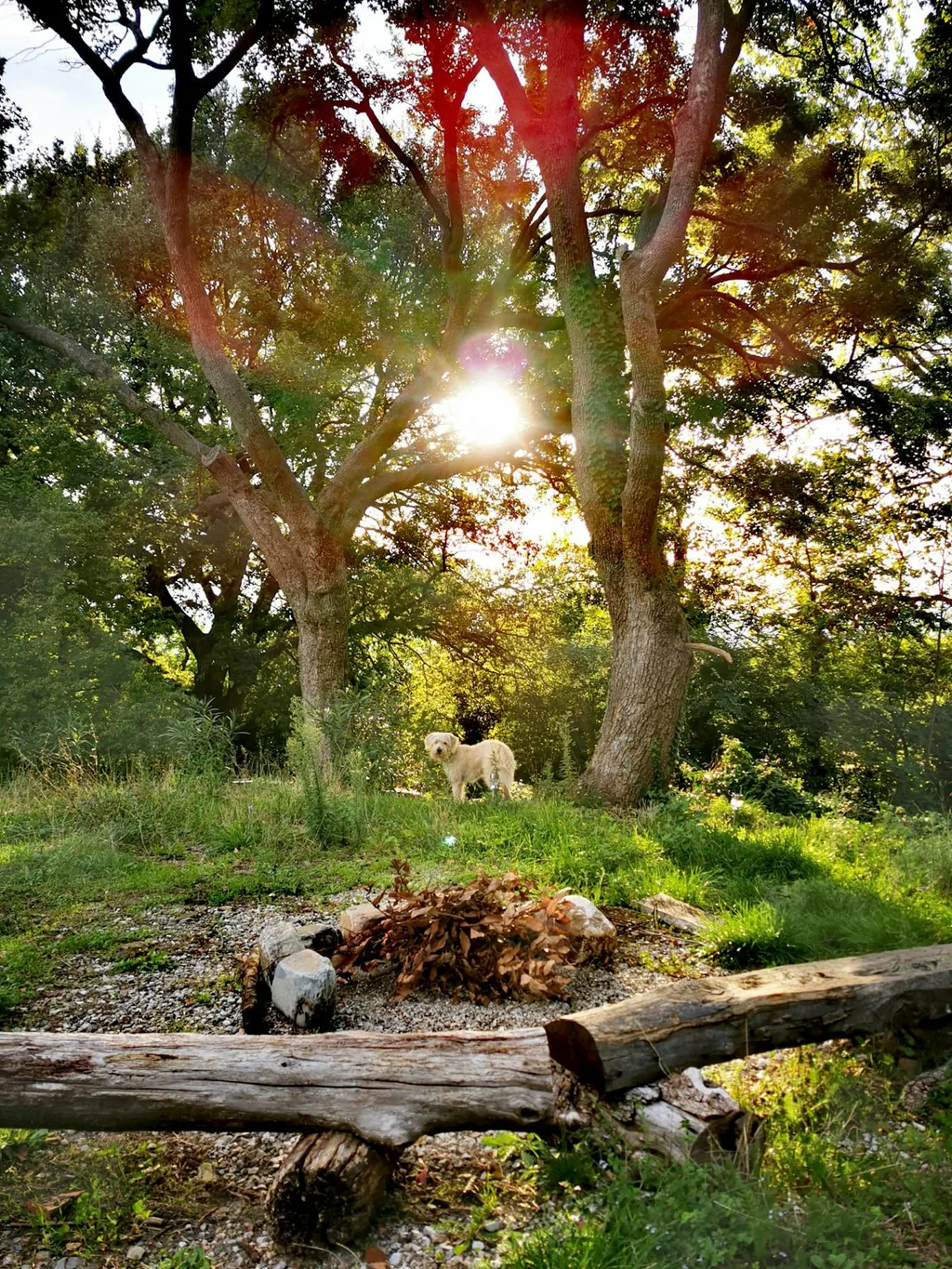 Naturparadies in Hügeln der Toskana