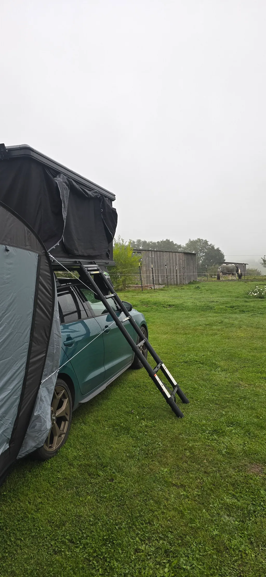 Bild von Lisa für den Spot 4078