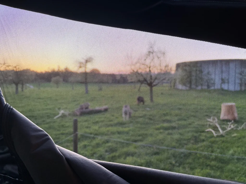 Image by Jan for spot 4198