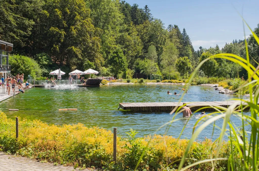 Mit Zelt auf der Waldwiese am Bach