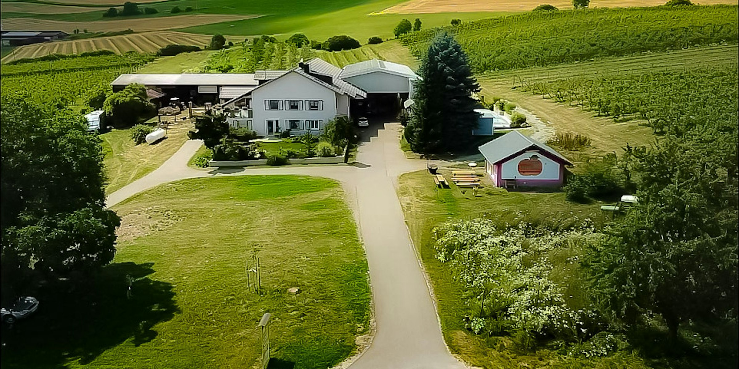 Anhöhe Alpenblick, Nahe Obstbäumen