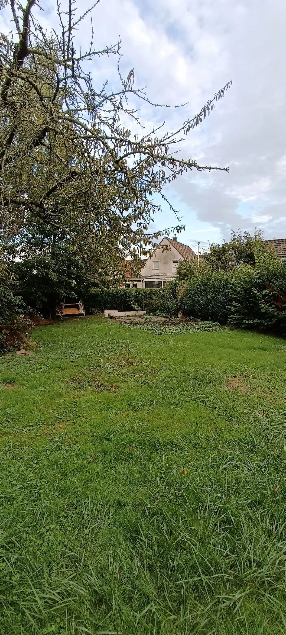 Grüne Gartenwiese nähe Ostparksiedlung