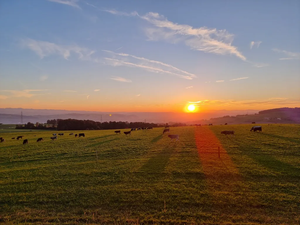Bild von Sebastian für den Spot 4211