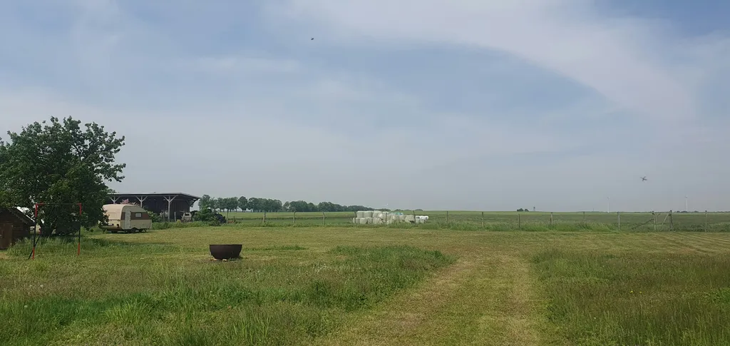 Die Wiese am Feldrand