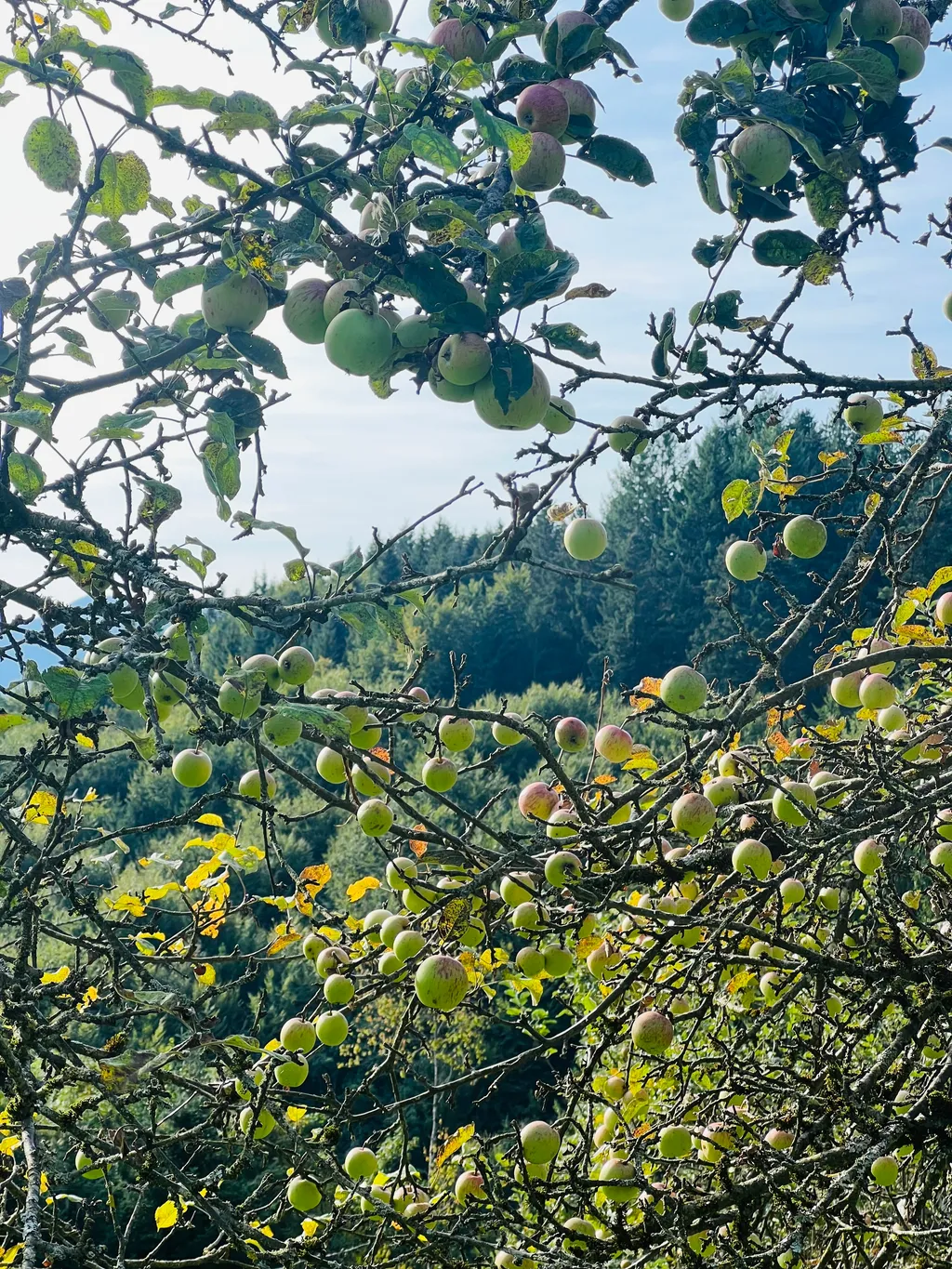 Bild von Sophie für den Spot 1587
