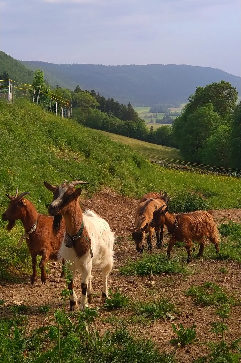 Bild von Michaela für den Spot 707