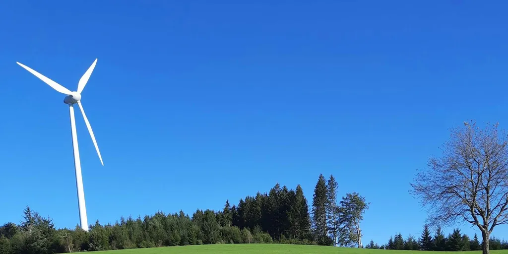 Stellplatz am Schwarzwaldhof