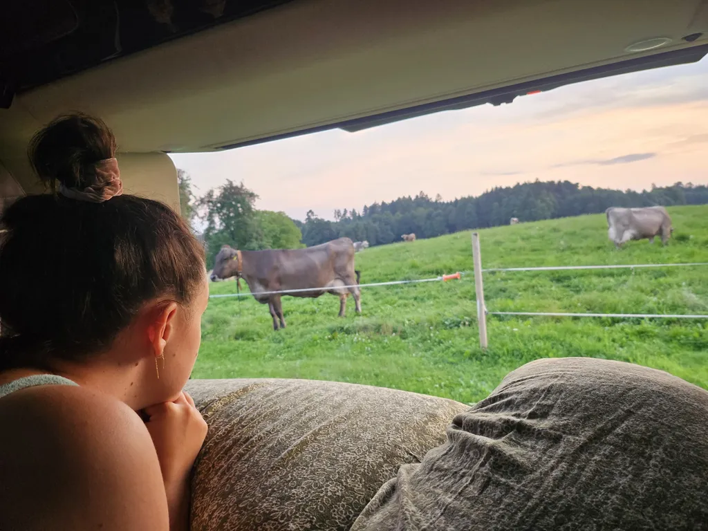 Bild von Friederike für den Spot 1262