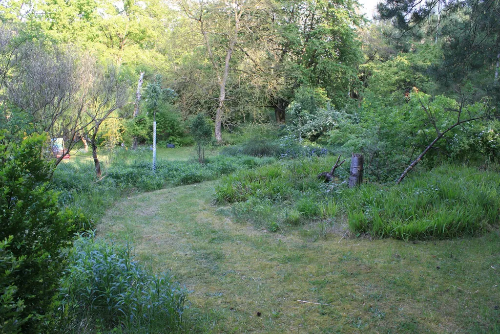 Landschaftsgarten auf Insel Töplitz
