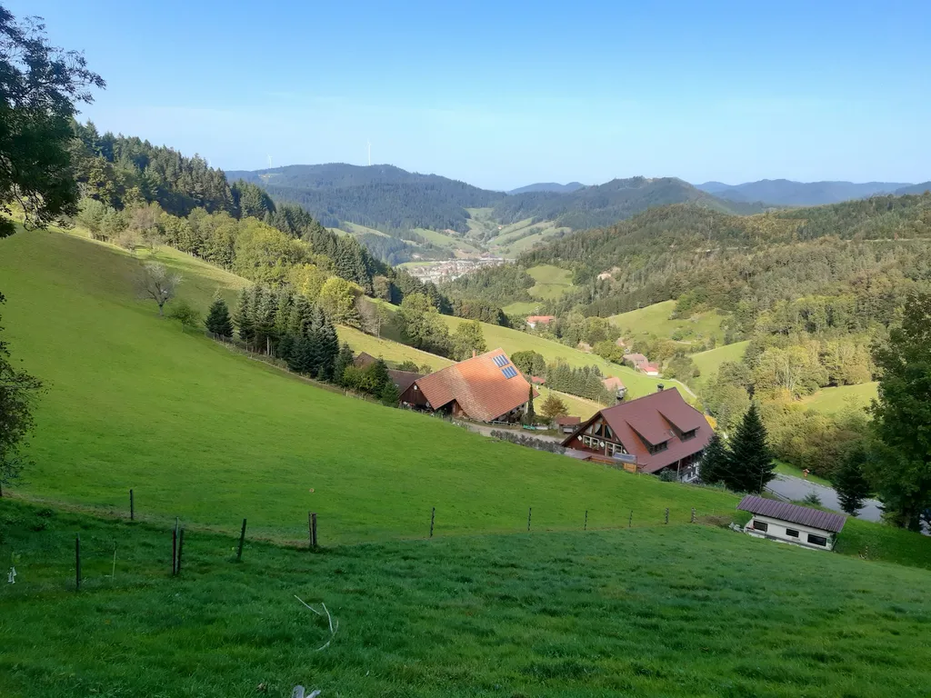 Talblick im Schwarzwald