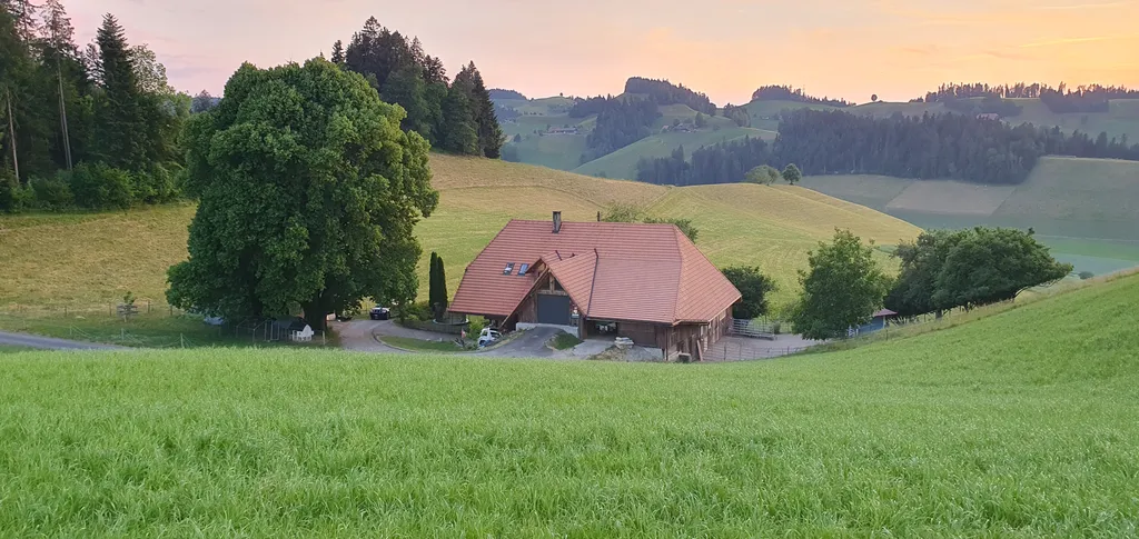 Emmentalcamp unter der Linde