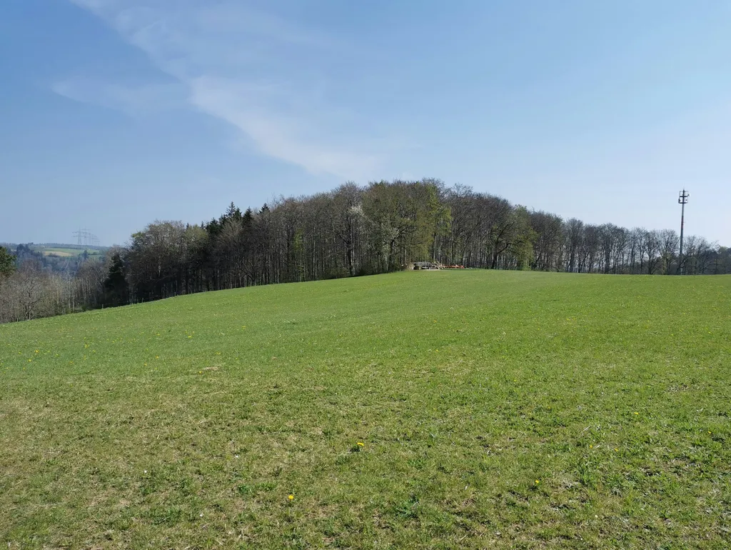Weitsicht am Feldrand