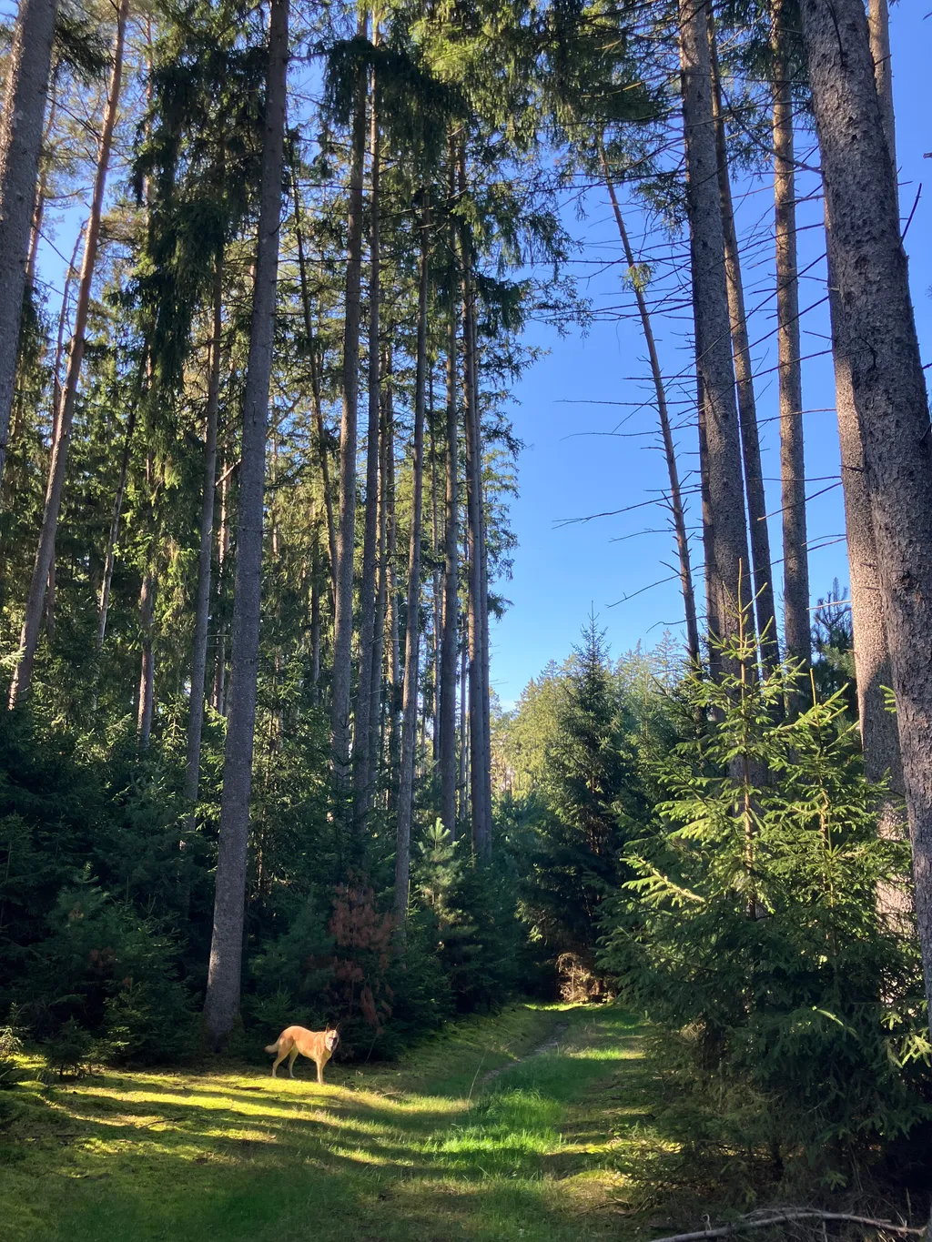 Bild von Silvia De La Cruz für den Spot 1556