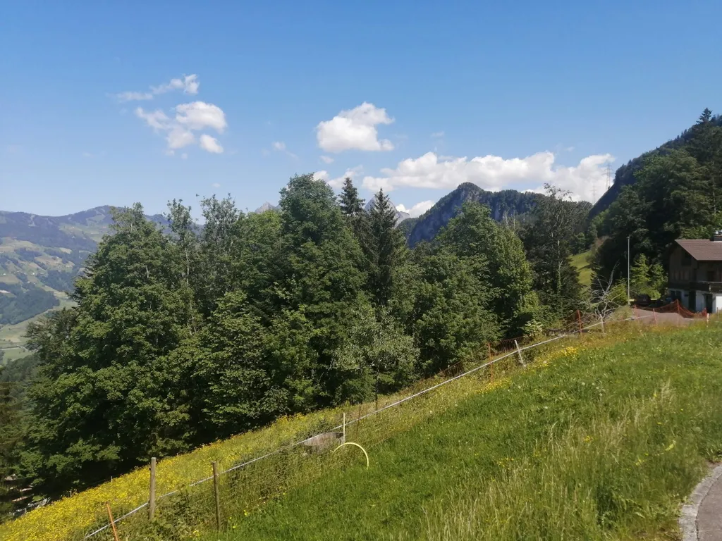 Panorama Seesicht