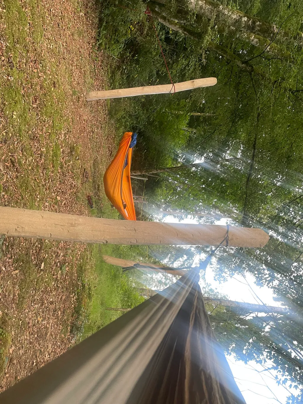 Bild von Vicky für den Spot 3998