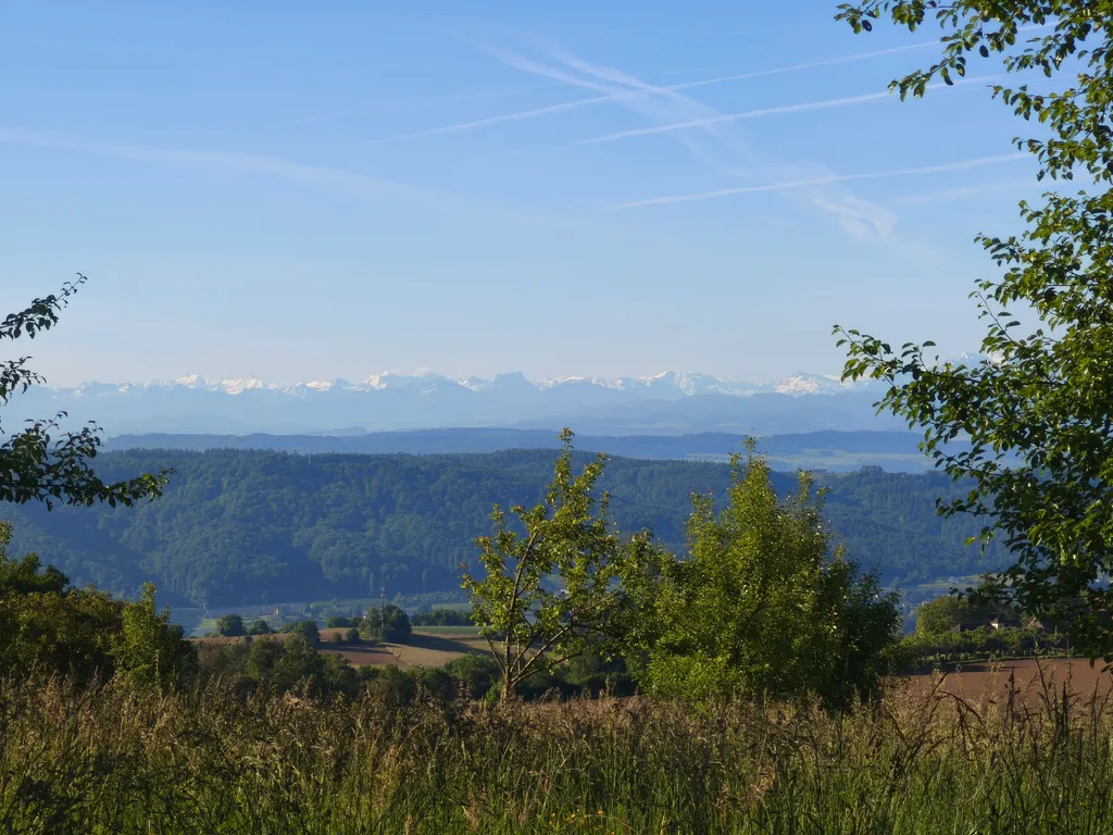 Unser Panoramablick