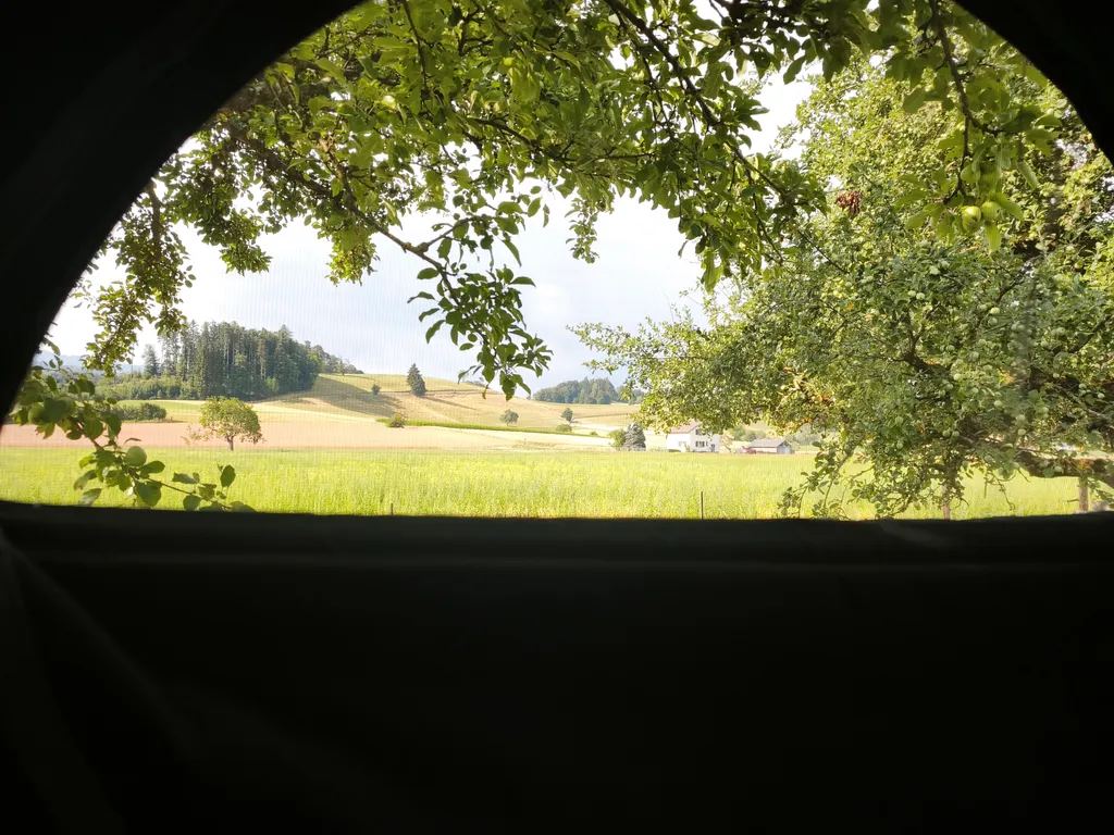 Bild von Maureen für den Spot 992
