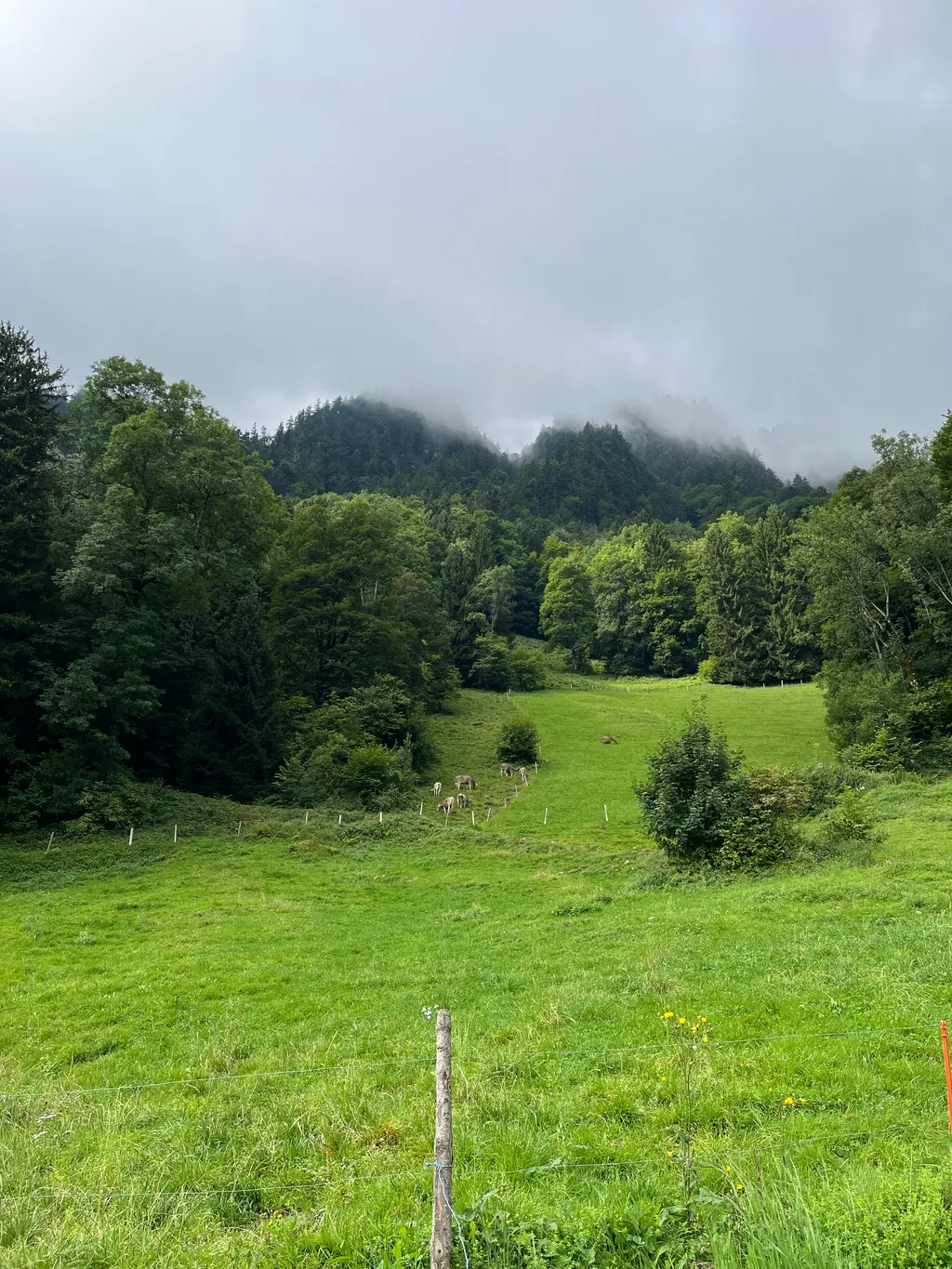 Bild von Adelina für den Spot 3983