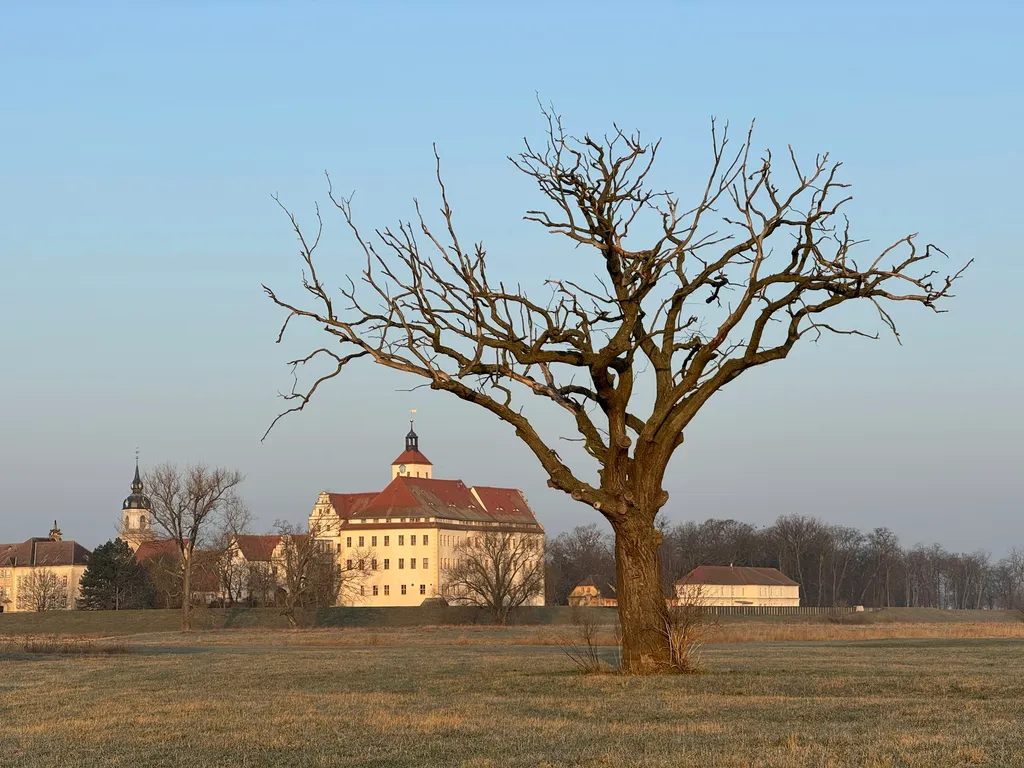 Elbezauber