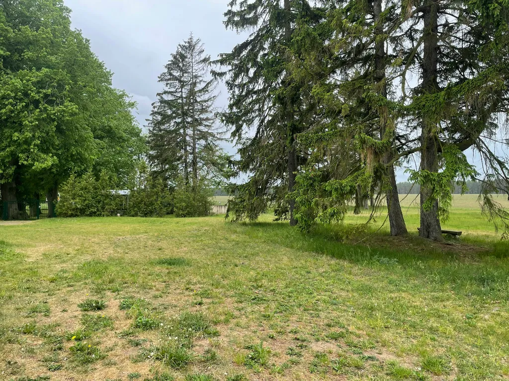 Unter Fichten am Dorfrand mit Blick zum Wald