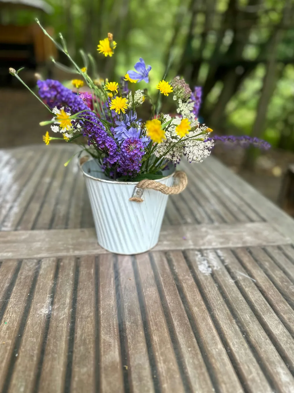 Waldwiese im Hunsrück / Soonwald